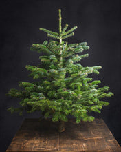 Load image into Gallery viewer, Christmas Trees and Wreaths